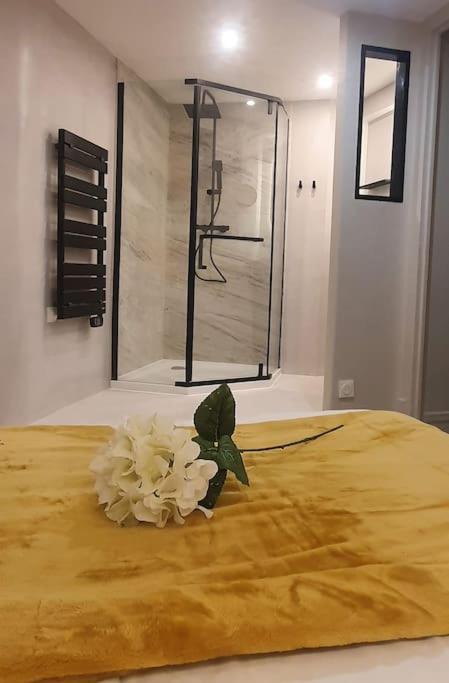 Suite Vinicole Hypercentre, Bastille & Gare 9 Min A Pied Grenoble Ngoại thất bức ảnh